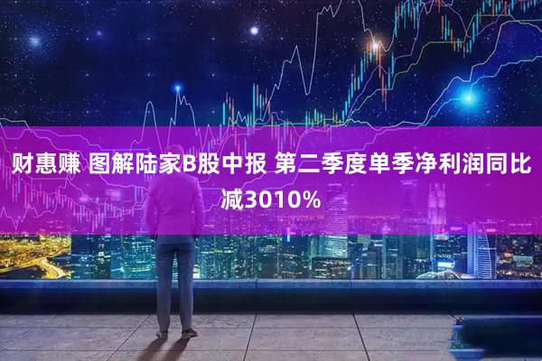 财惠赚 图解陆家B股中报 第二季度单季净利润同比减3010%