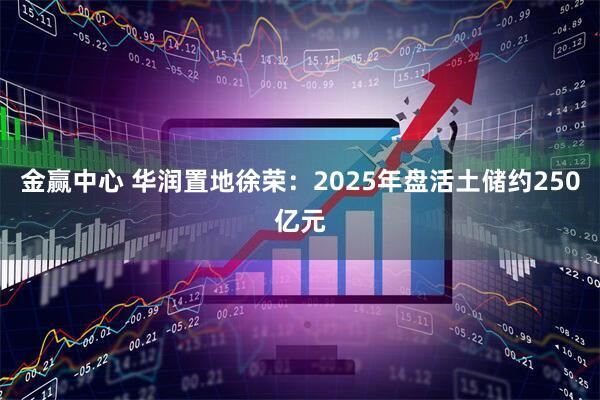 金赢中心 华润置地徐荣：2025年盘活土储约250亿元