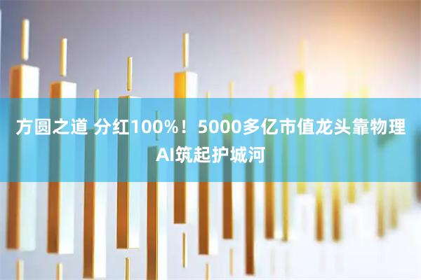 方圆之道 分红100%！5000多亿市值龙头靠物理AI筑起护城河