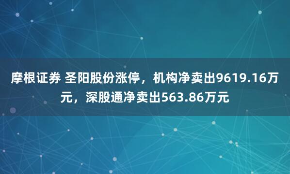 摩根证券 圣阳股份涨停，机构净卖出9619.16万元，深股通净卖出563.86万元